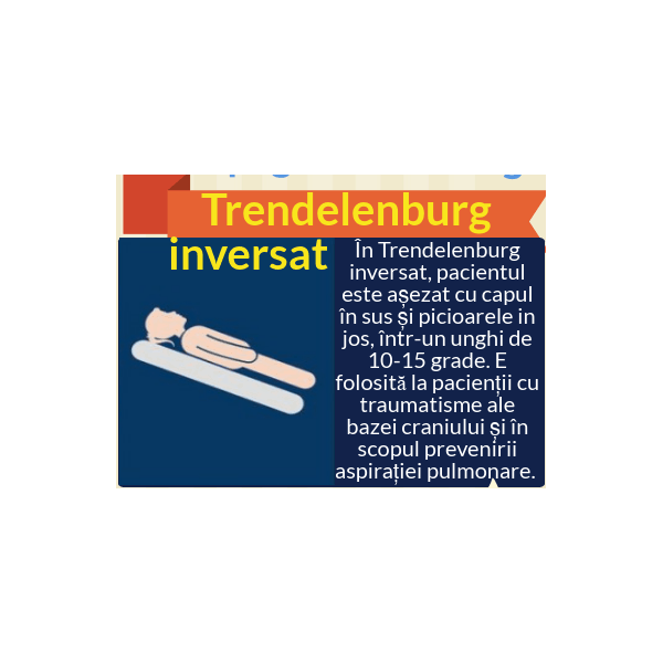 Pat electric Daliecon, reglabil pe inaltime si pe sectiuni, suport ridicare inclus, import Germania