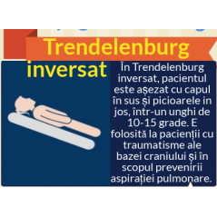 Pat electric Daliecon, reglabil pe inaltime si pe sectiuni, suport ridicare inclus, import Germania