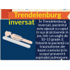 Pat electric Daliecon, reglabil pe inaltime si pe sectiuni, suport ridicare inclus, Burmeier Germania